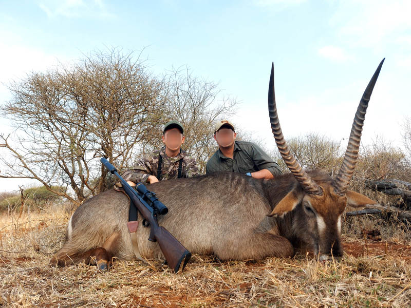 Waterbuck